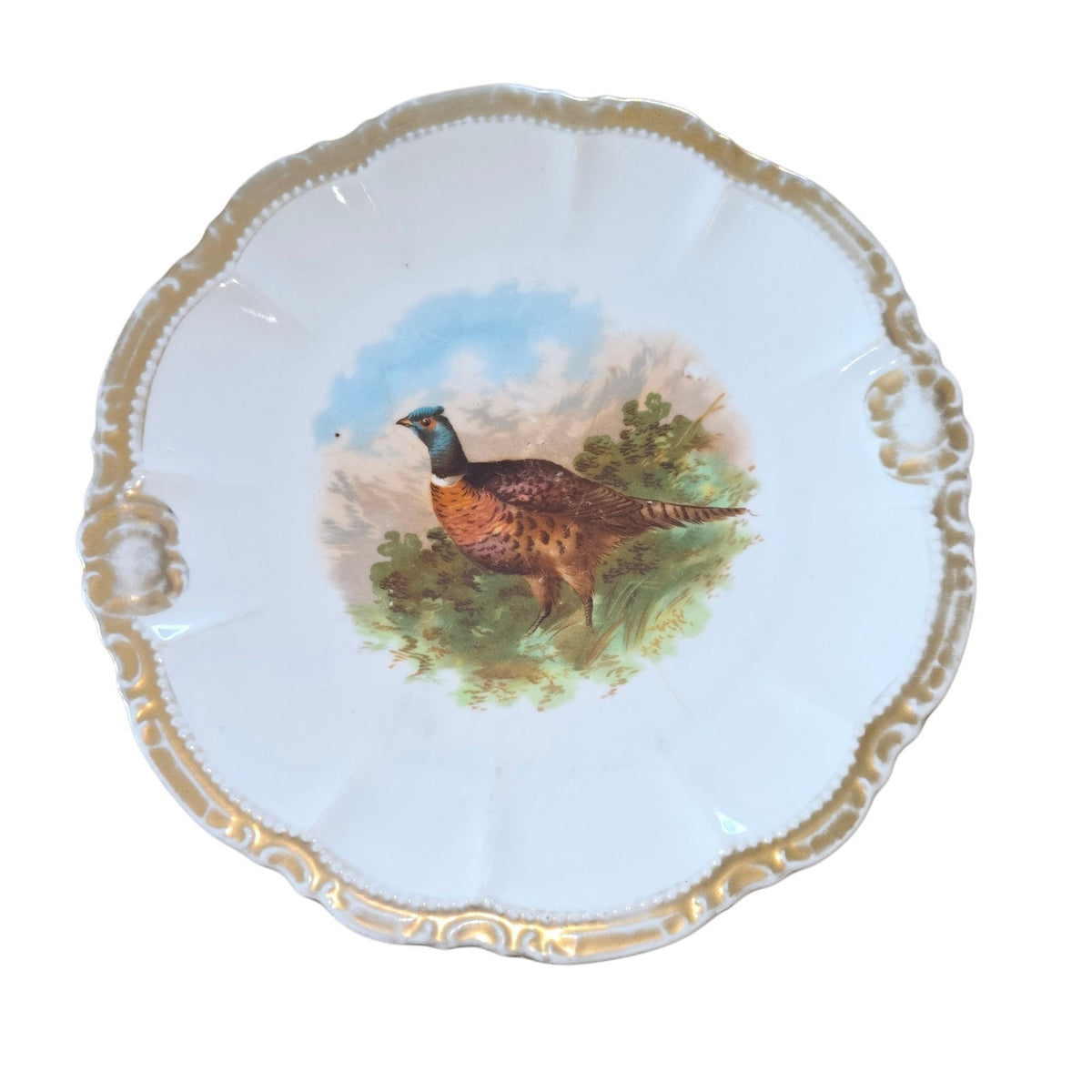 Antique PM Bavaria Pheasant Decorative Plate | Early 1900s German Porcelain | 9"