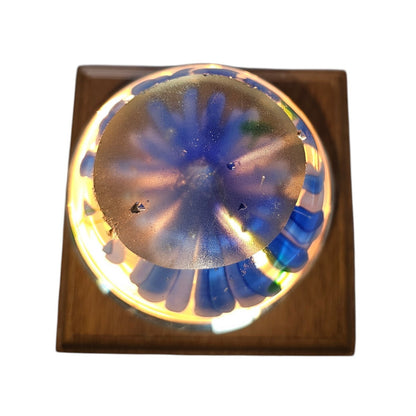 Set of 3 Glass Controlled Bubble Paperweights | Reds & Blues | Lighted Wooden Stand Included