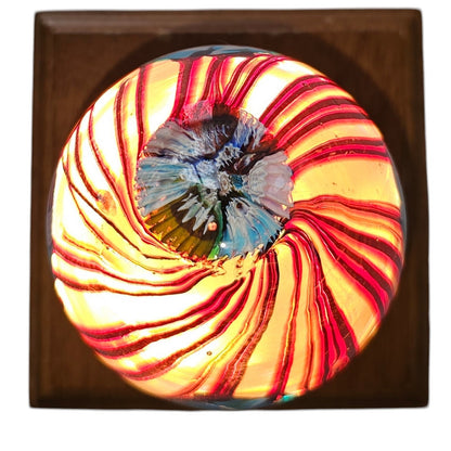 Set of 3 Glass Controlled Bubble Paperweights | Reds & Blues | Lighted Wooden Stand Included