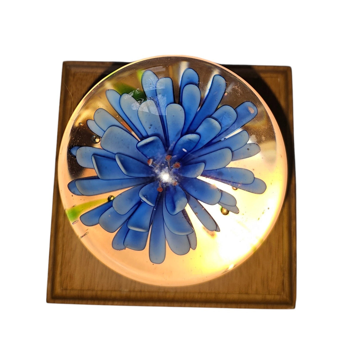 Set of 3 Glass Controlled Bubble Paperweights | Reds & Blues | Lighted Wooden Stand Included